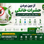 از بین بردن حشرات خانگی