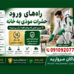 راه های ورود حشرات موذی