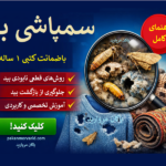 سمپاشی بید تضمینی