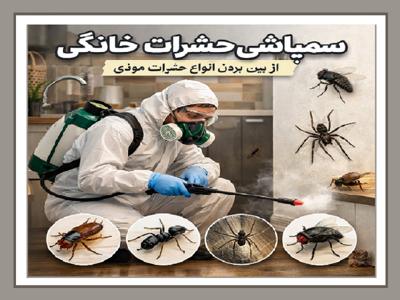 سمپاشی حشرات با ضمانت کتبی یک ساله
