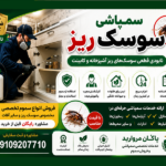 سمپاشی سوسک ریز