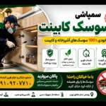 سمپاشی سوسک کابینت