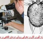 نحوه نمونه‌گیری گال