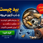 بید چیست و چگونه از بین می‌رود؟