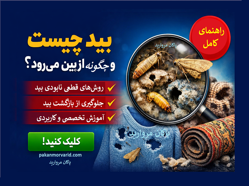 بید چیست و چگونه از بین می‌رود؟