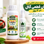پکیج درمان قطعی گال